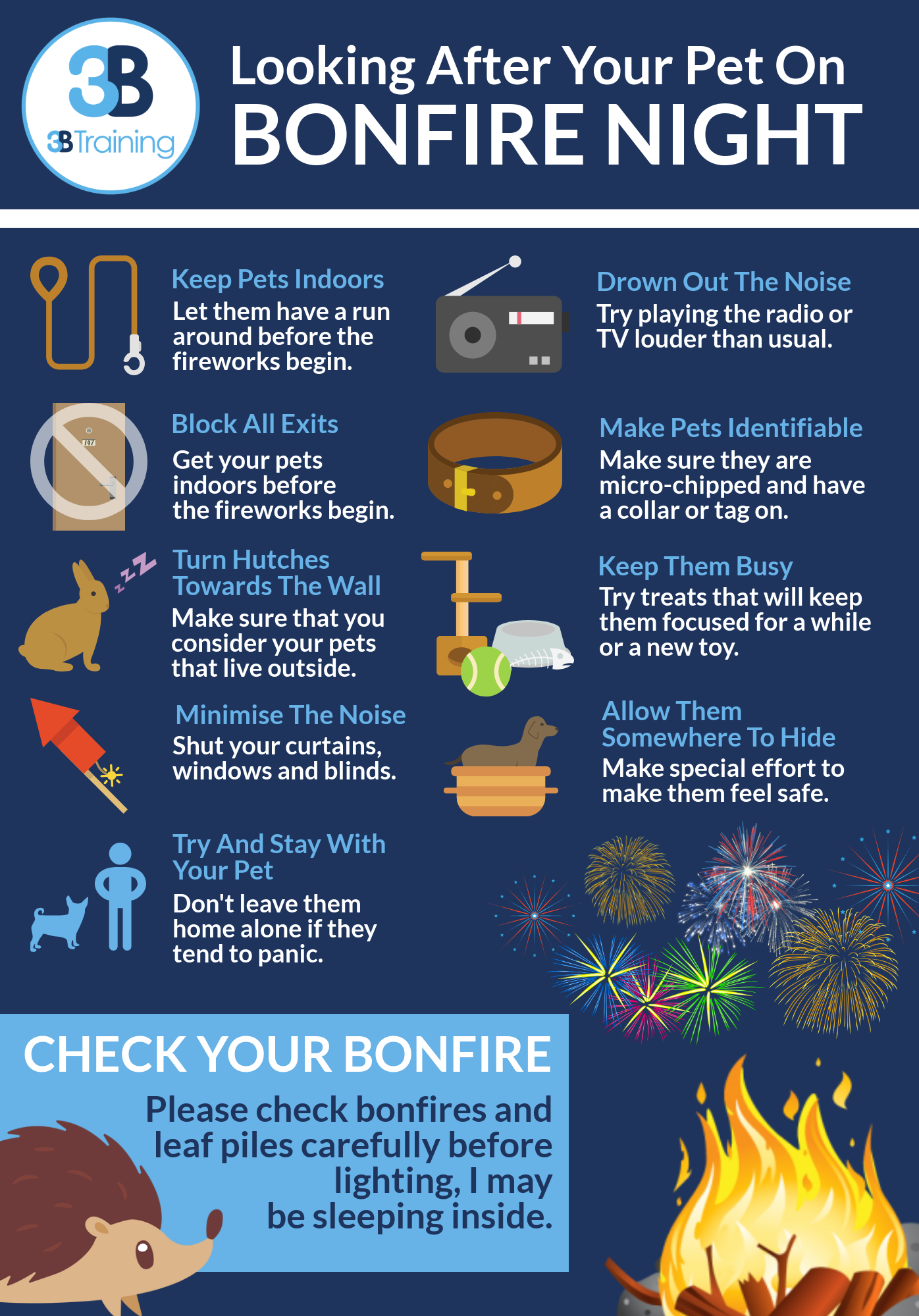 Pet Safety On Bonfire Night