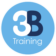 3B Training