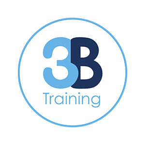 3B Training