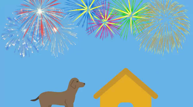 Bonfire Night Looking After Your Pet